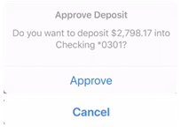 Screenshot example of approval screen with deposit amount, account information, 'Approve' and 'Cancel' white buttons